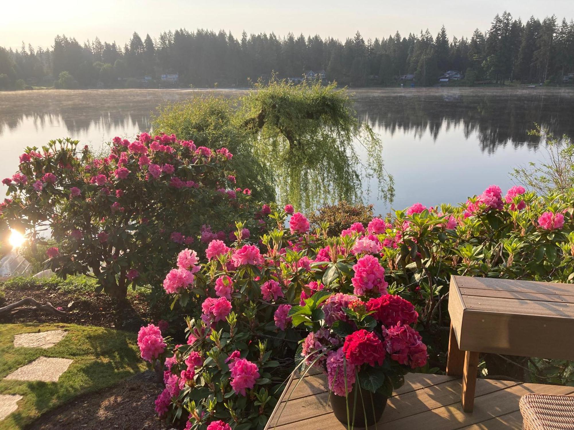 Cottage Lake Bed And Breakfast Woodinville Eksteriør billede