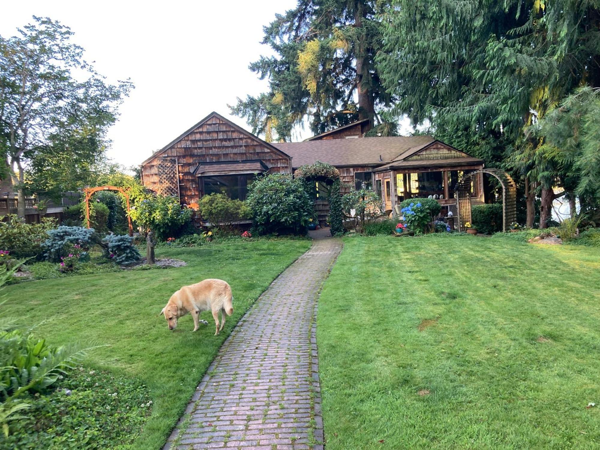 Cottage Lake Bed And Breakfast Woodinville Eksteriør billede
